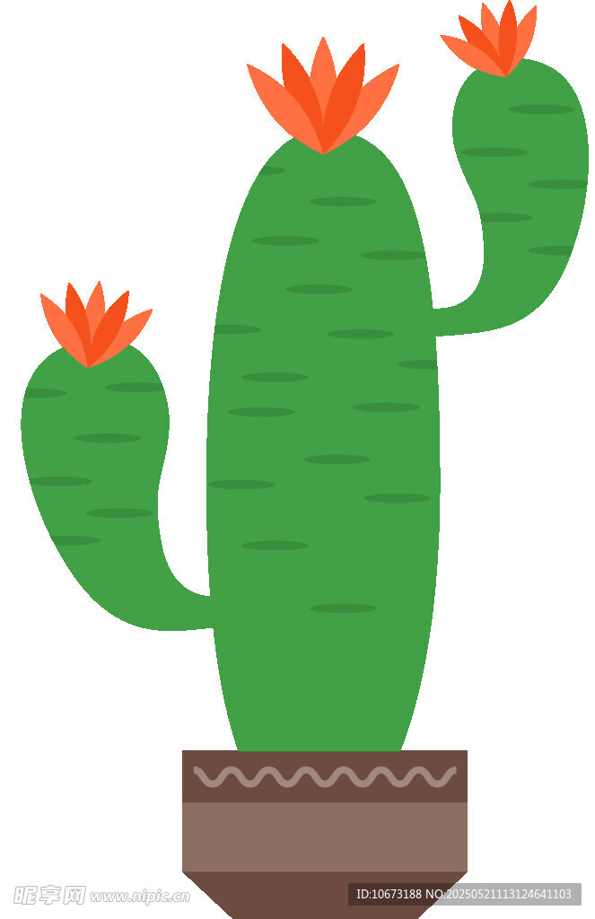 盆栽仙人掌插画