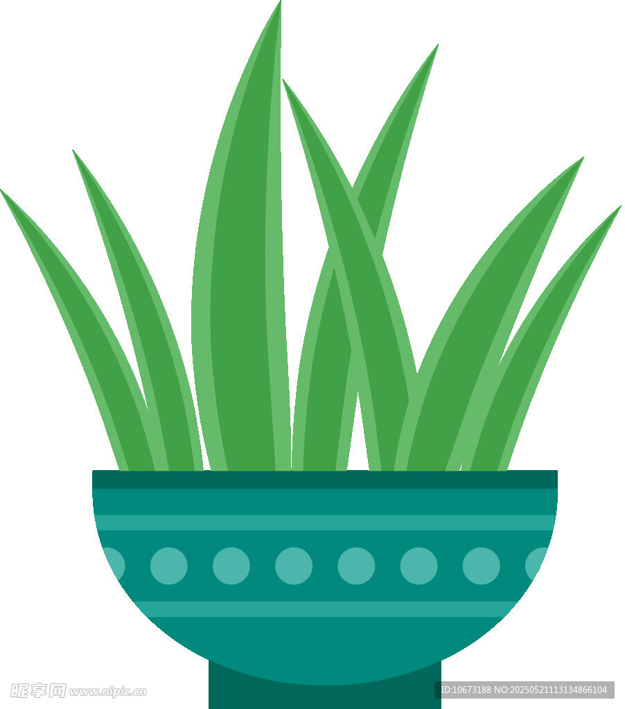 盆栽绿植插画