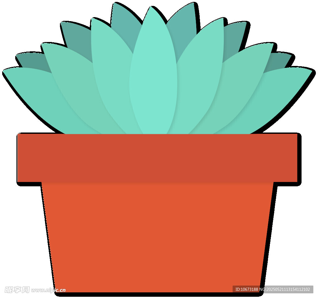 盆栽多肉植物插画