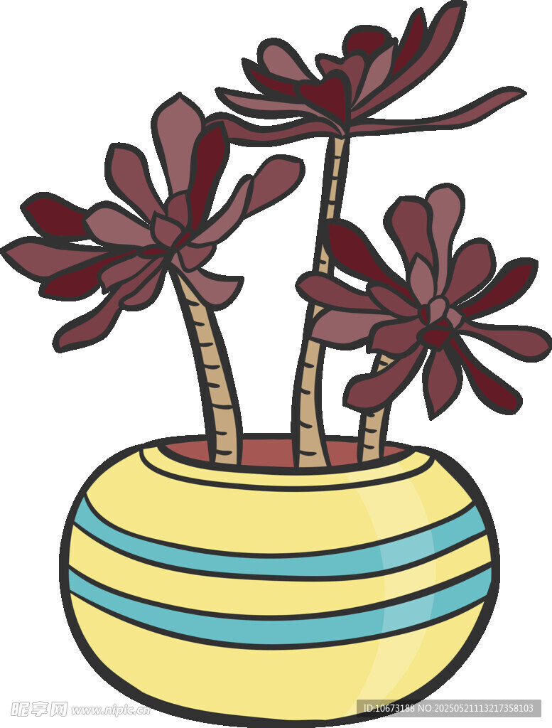 盆栽多肉植物插画
