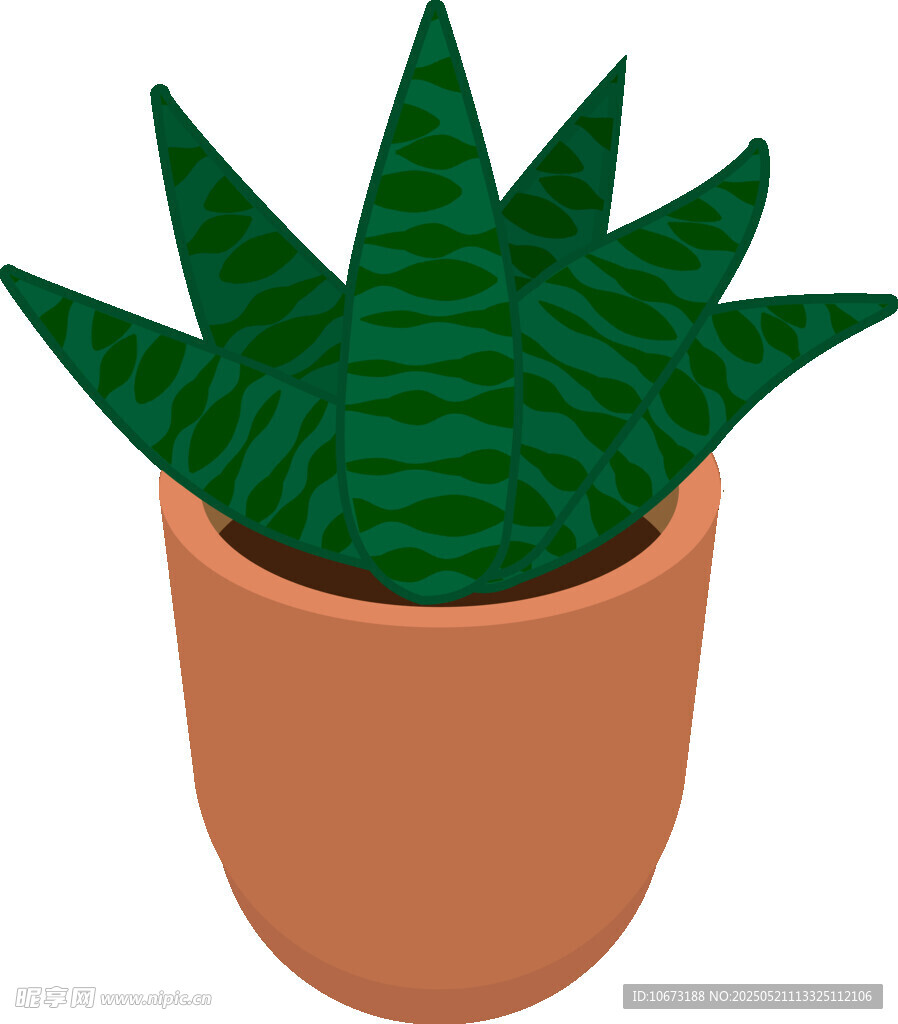 盆栽芦荟插画