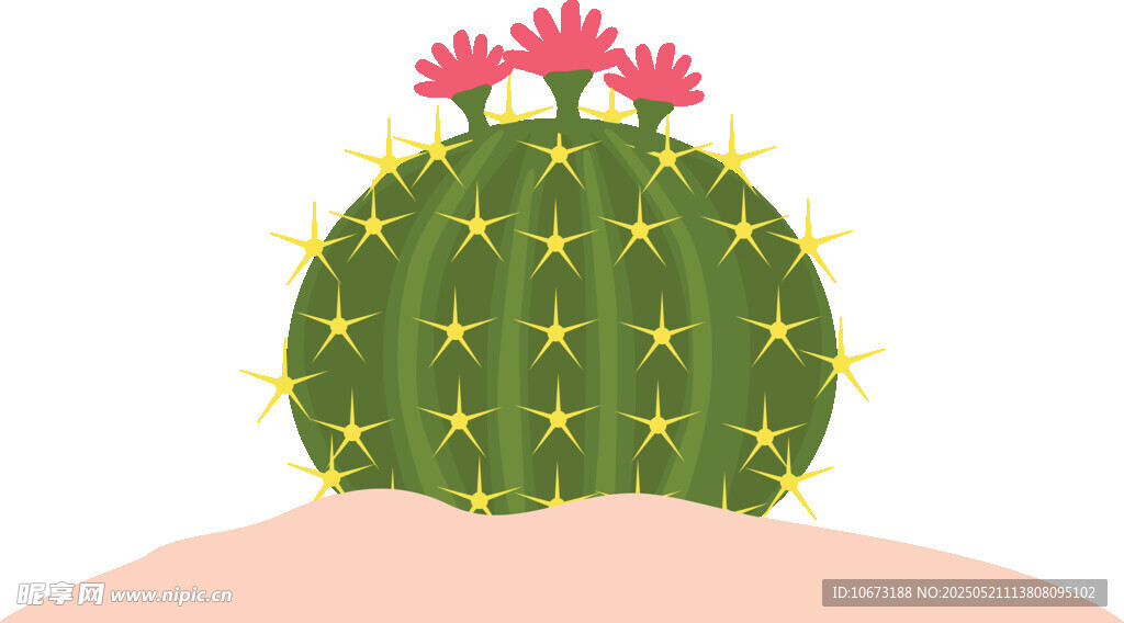 可爱球形仙人掌插画