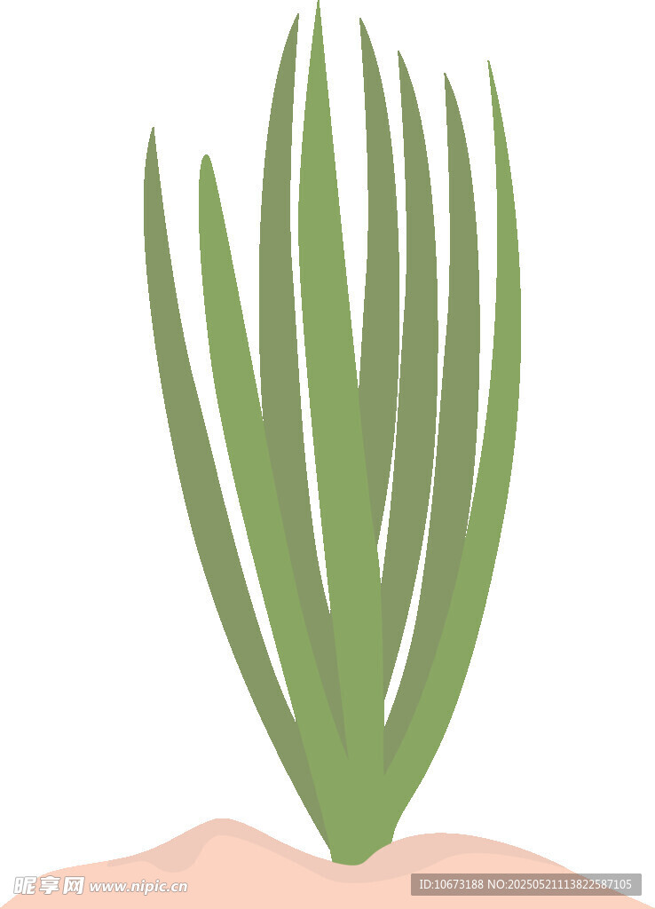 手捧芦荟绿植插画