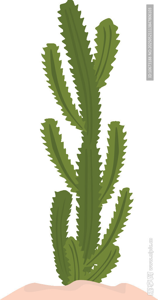 手持仙人掌绿植插画