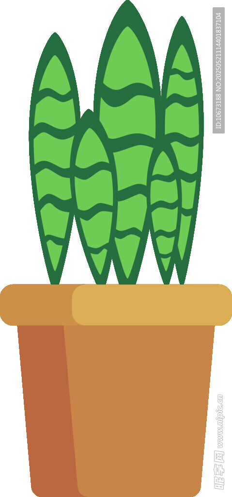 盆栽绿植 清新室内小植物