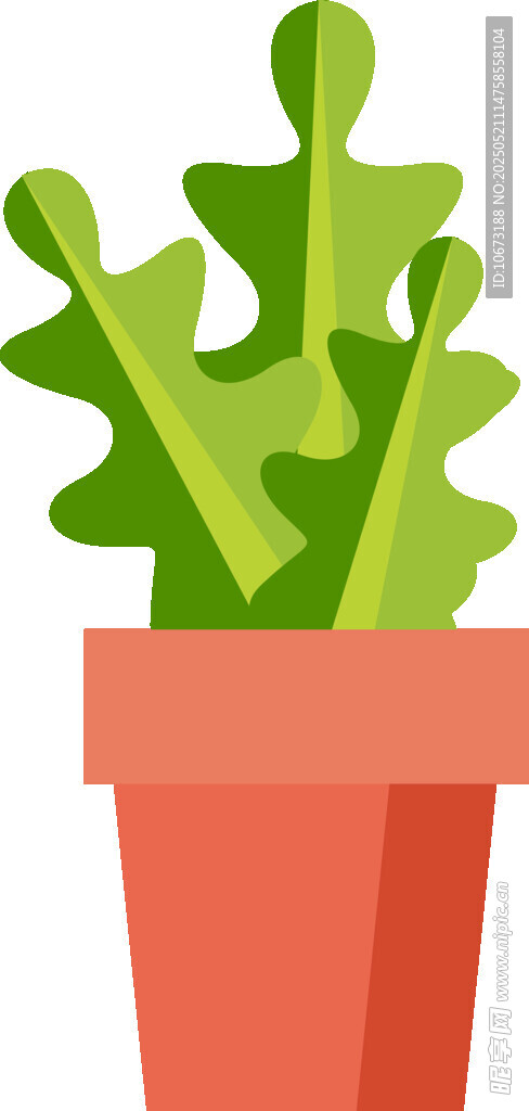 盆栽绿植 清新可爱小植物