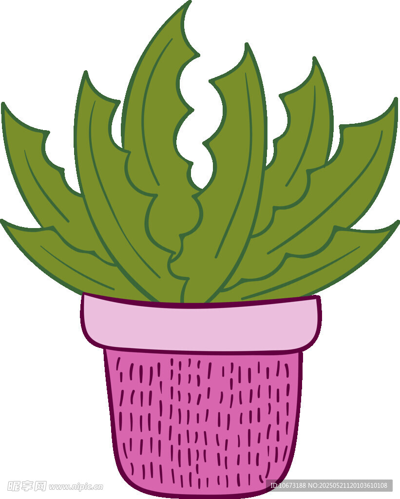 粉色花盆中的翠绿芦荟