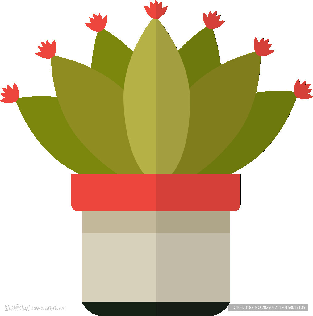 盆栽多肉植物插画