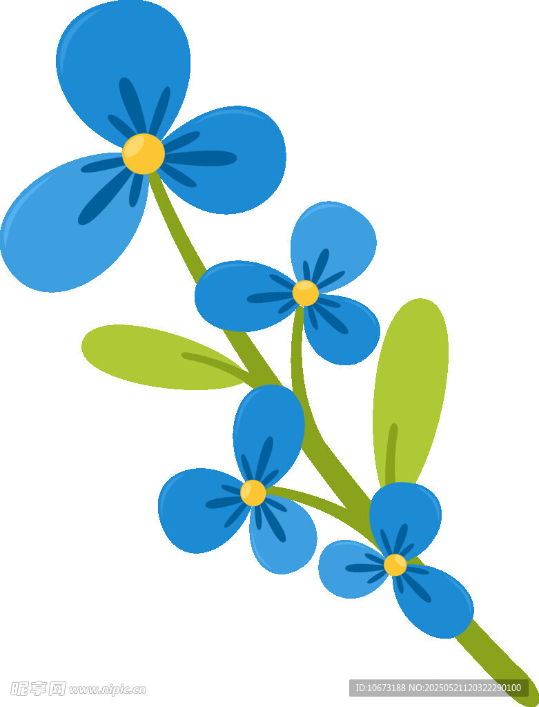 蓝色小花插画