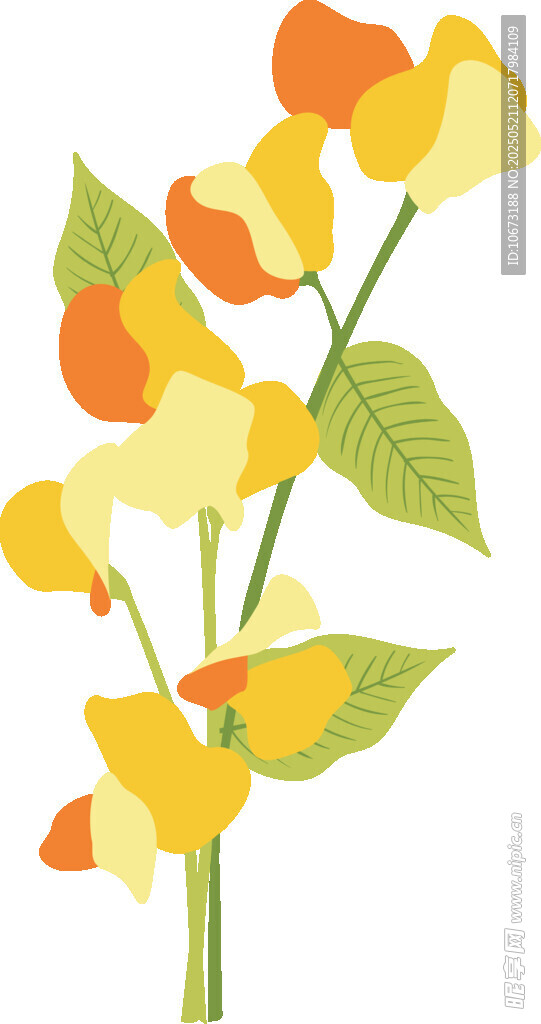 黄色花卉插画