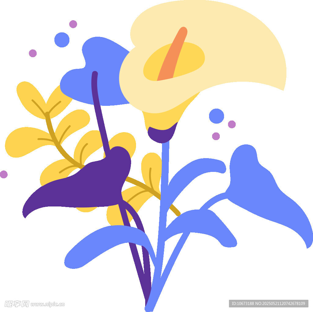 清新手绘马蹄莲插画