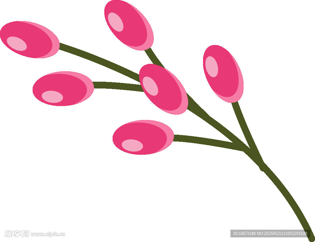 粉色花苞花枝插画