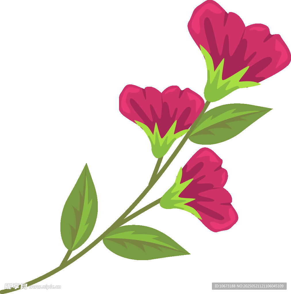 三朵玫红色花朵插画