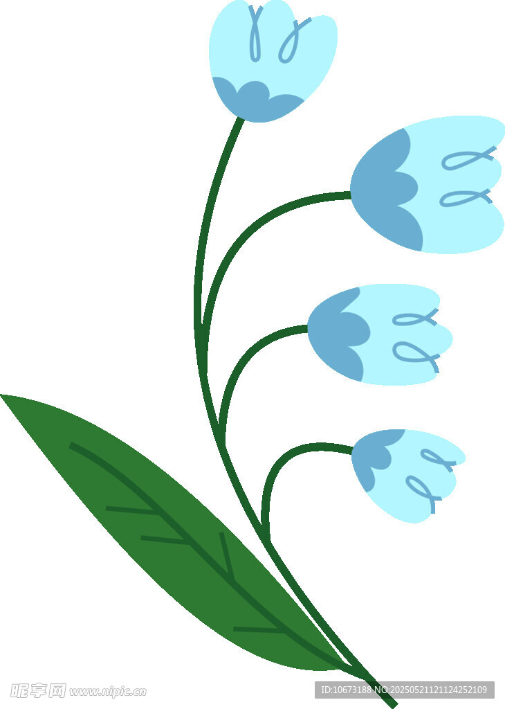 蓝色铃兰花插画