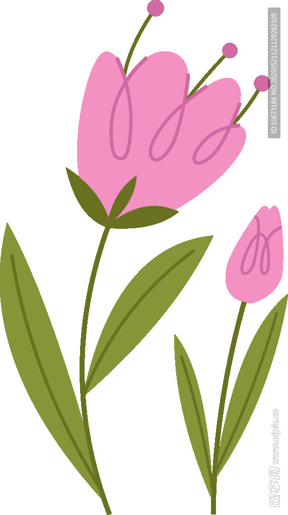 粉色花朵插画
