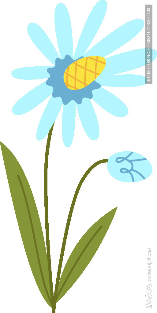 蓝色雏菊插画