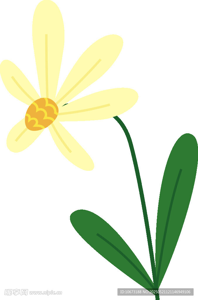 黄色小花插画