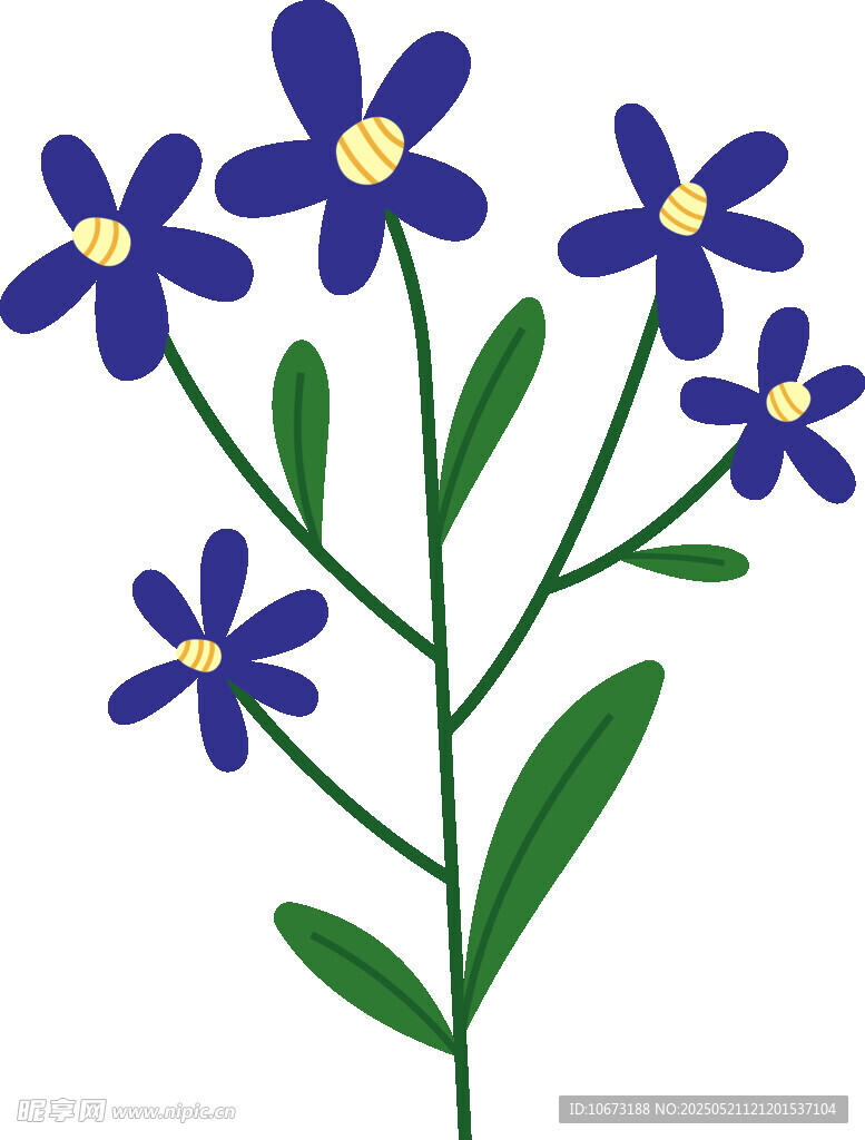 蓝色小花插画
