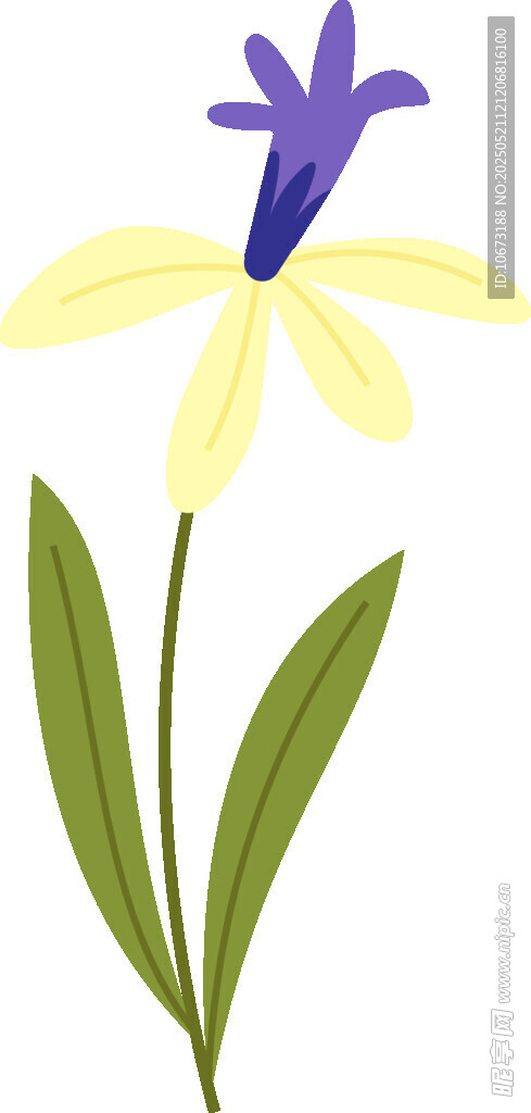 黄色花朵配紫色花蕊插画