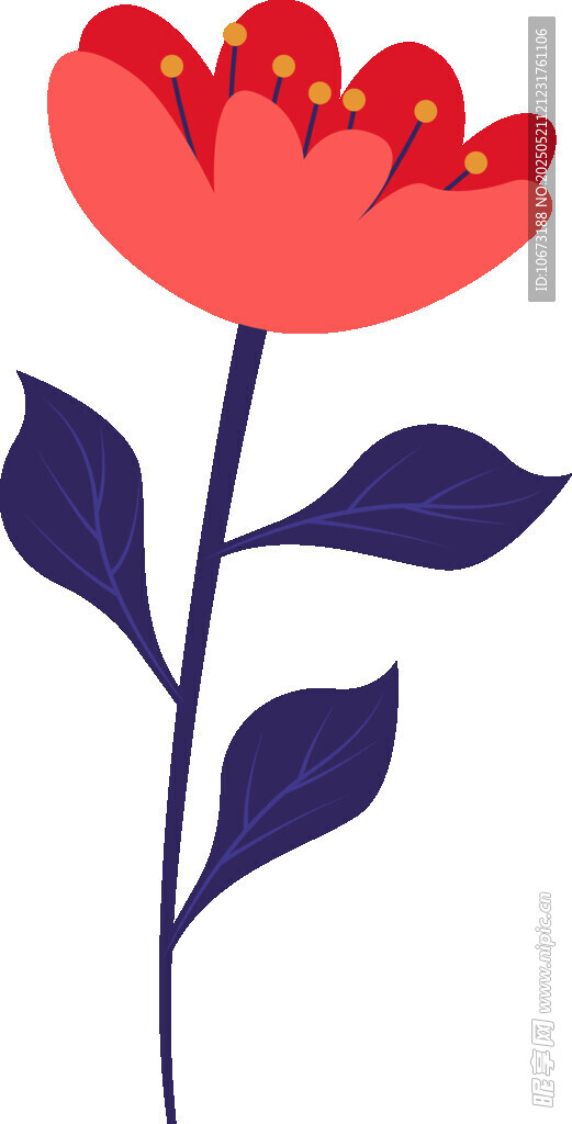 红色花朵插画