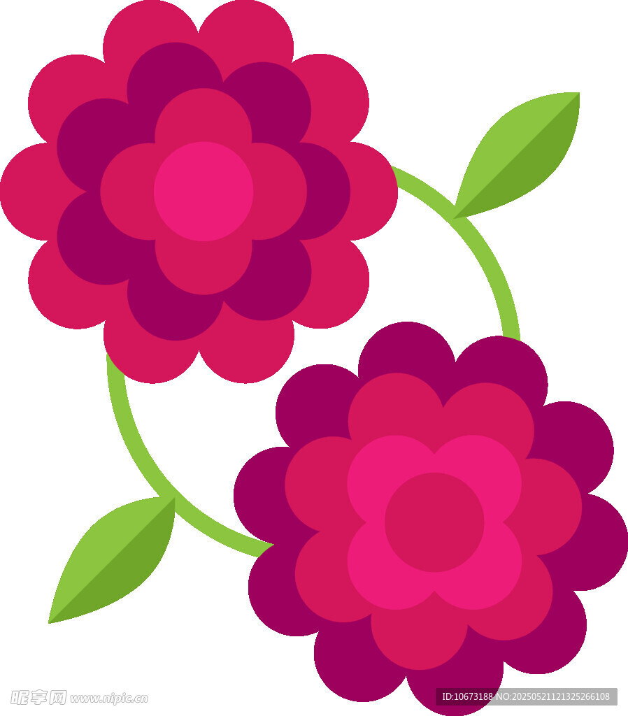 两朵绚丽花朵插画