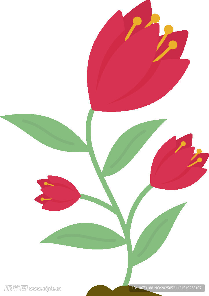三朵红花绿植插画