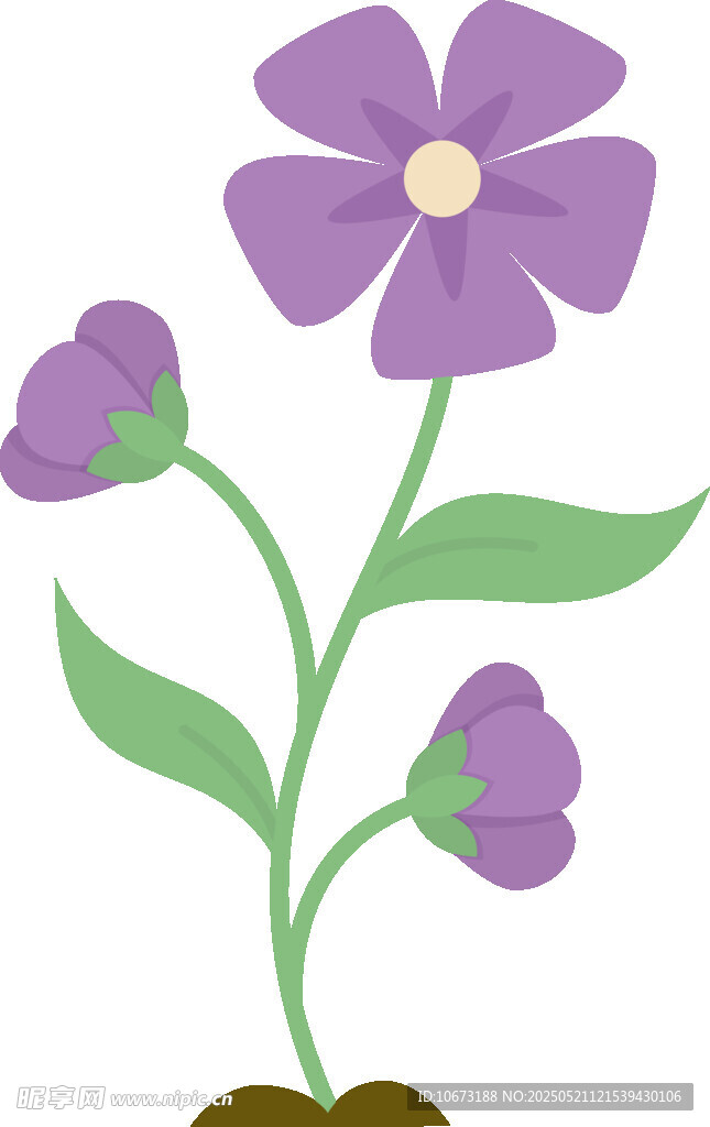 紫色花朵插画