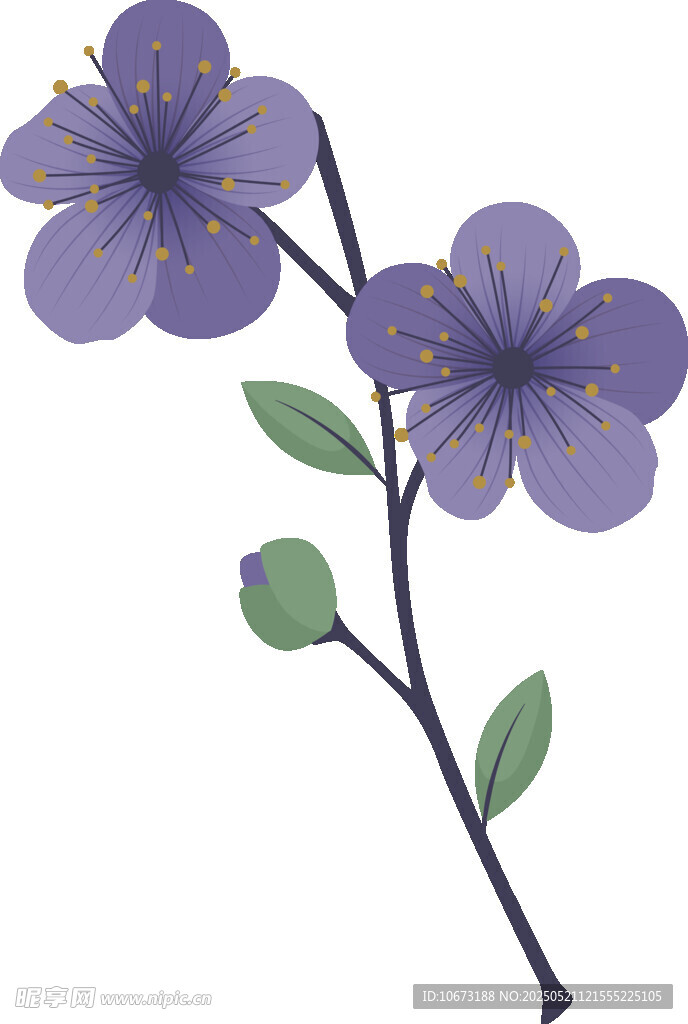 紫色花朵枝条插画
