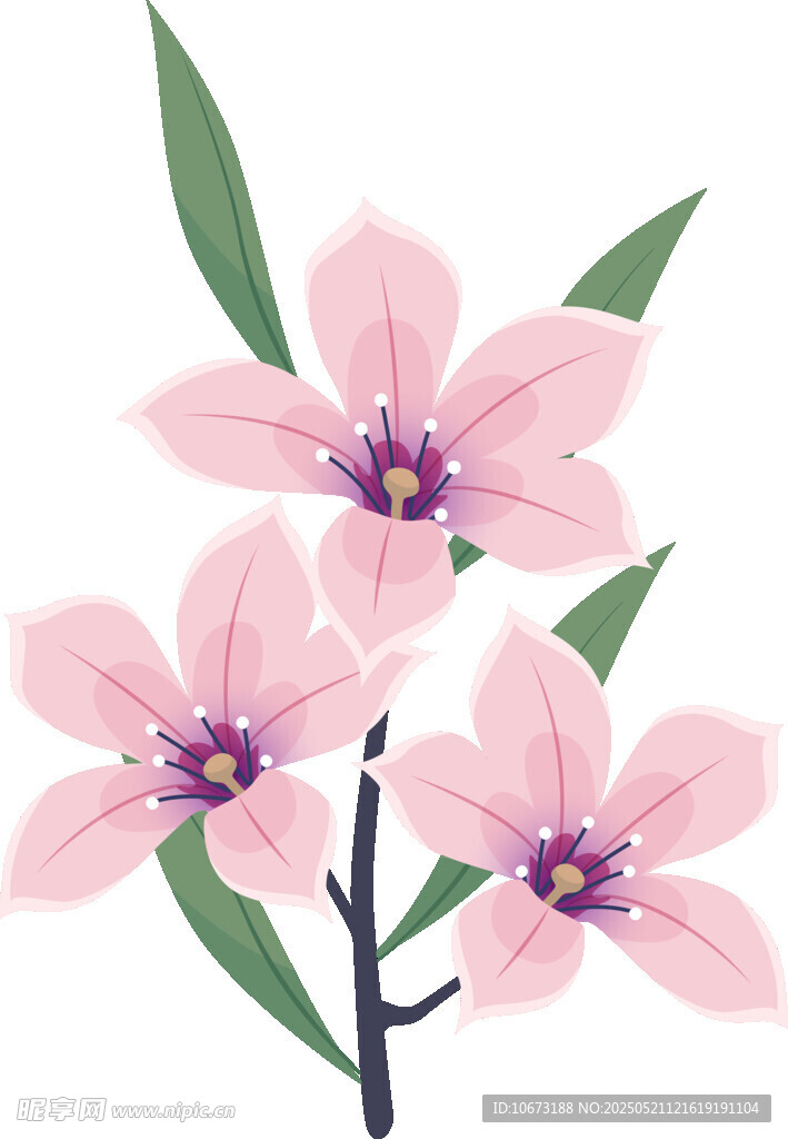 粉色花朵插画