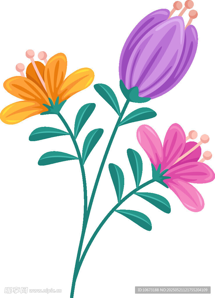 多彩花卉插画