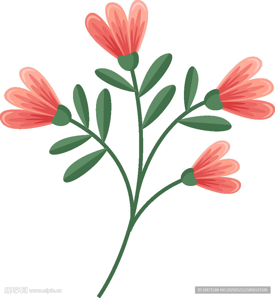 粉色花朵插画