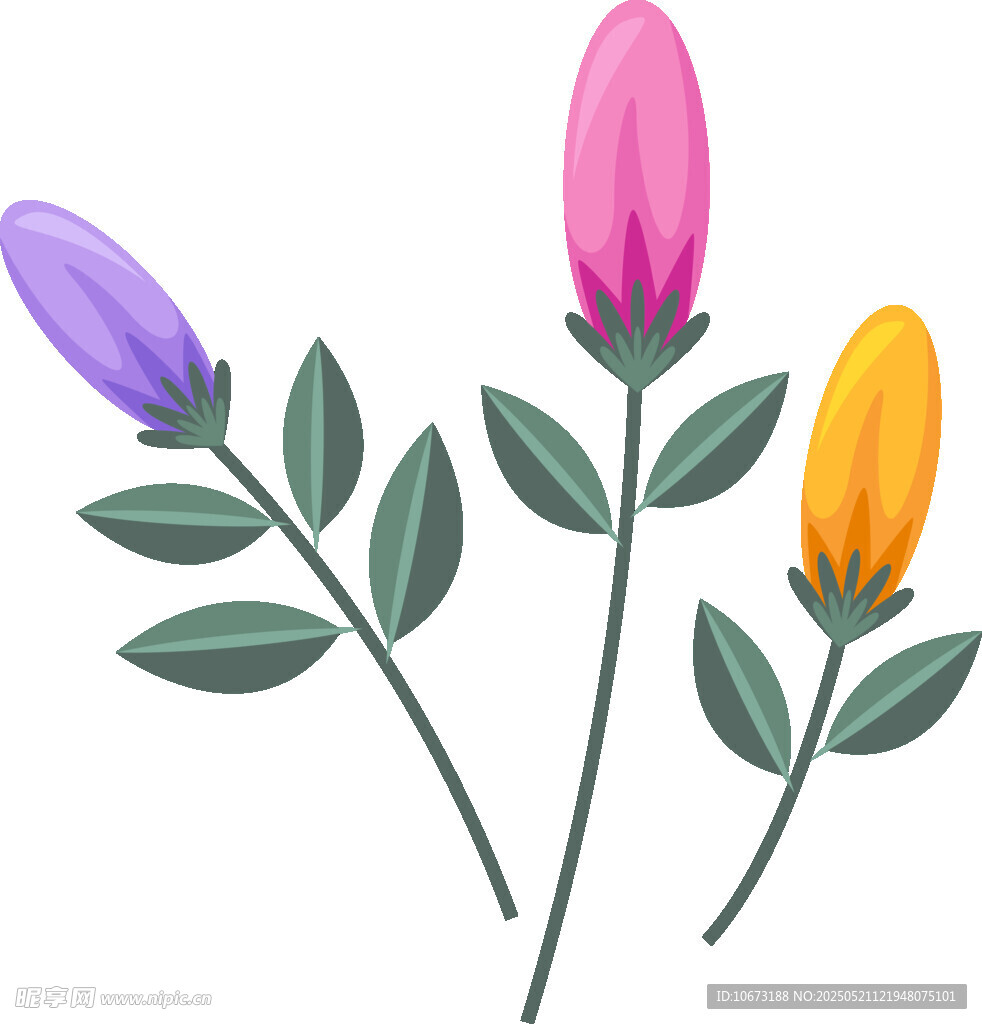 三色花苞插画