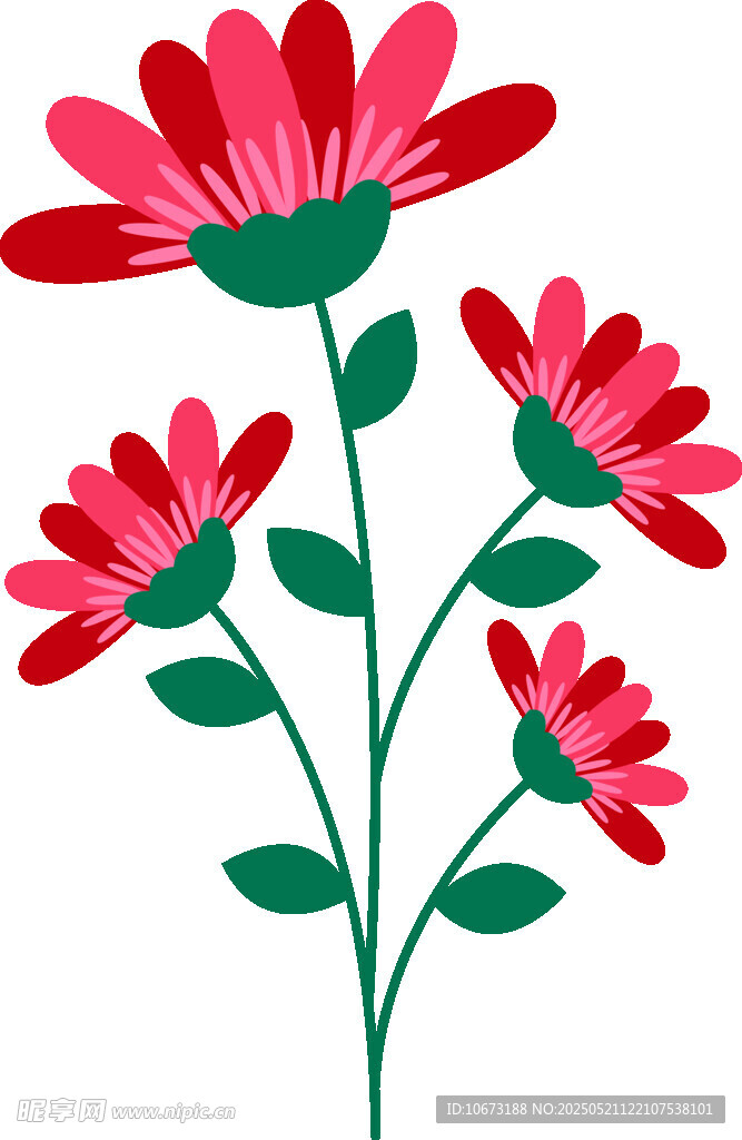 三朵绽放的红色花朵