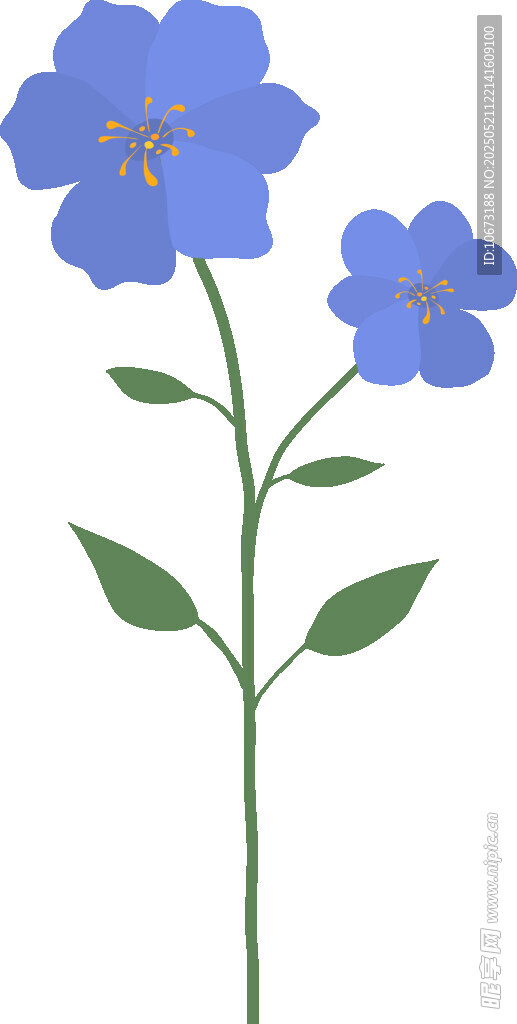 蓝色花朵插画