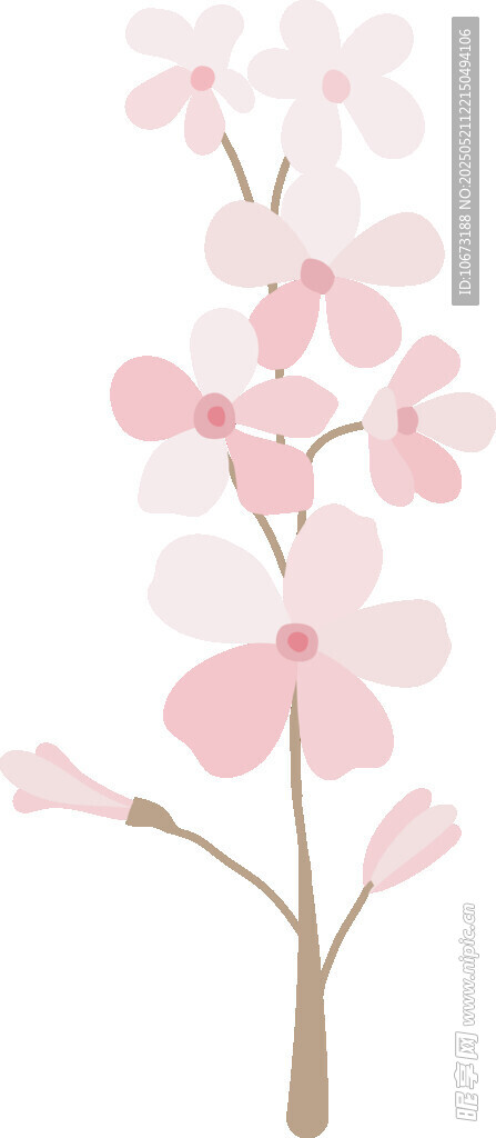 粉色花朵枝条插画