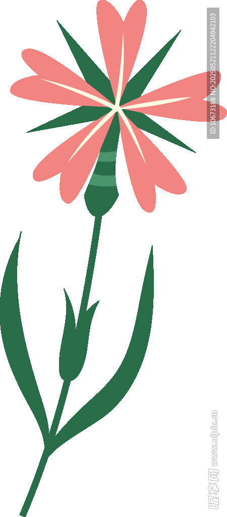 粉色花朵插画