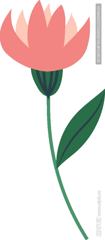 粉色花朵插画