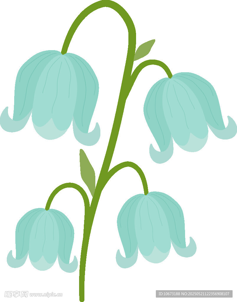 蓝色铃状花朵插画