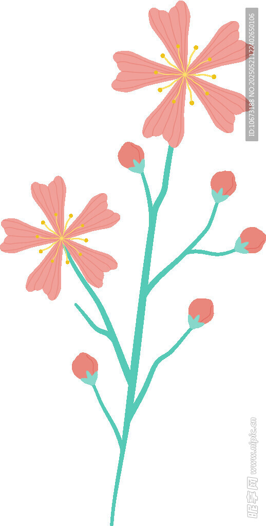 两枝粉色花朵插画