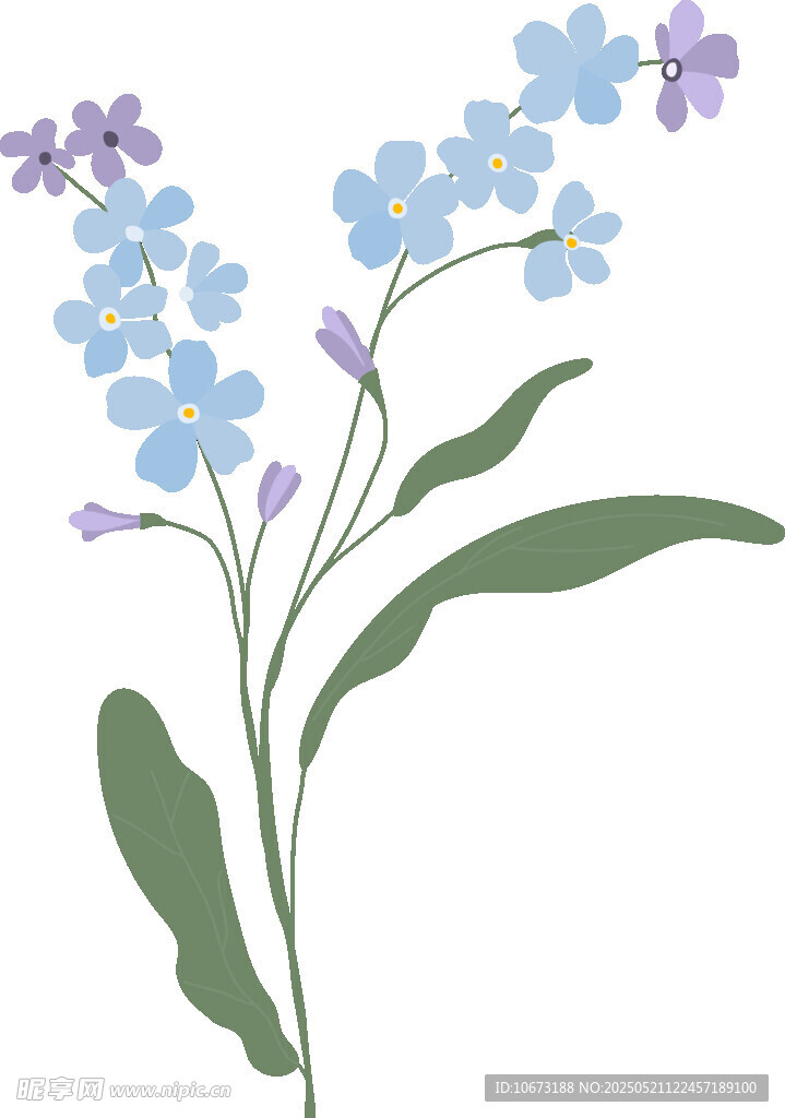 蓝色小花插画