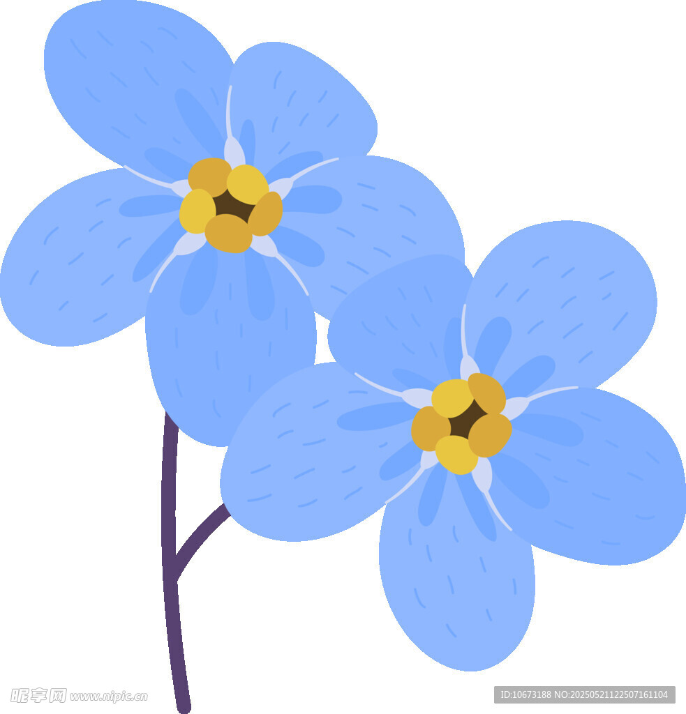 蓝色勿忘我花朵插画