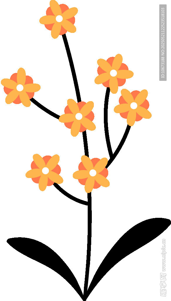 橙色小花插画
