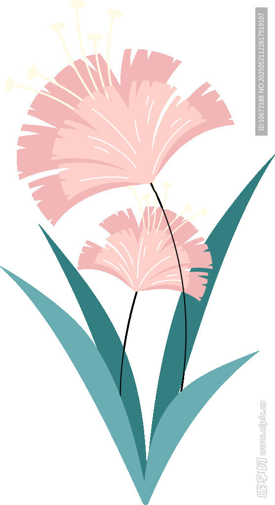 粉色花卉插画
