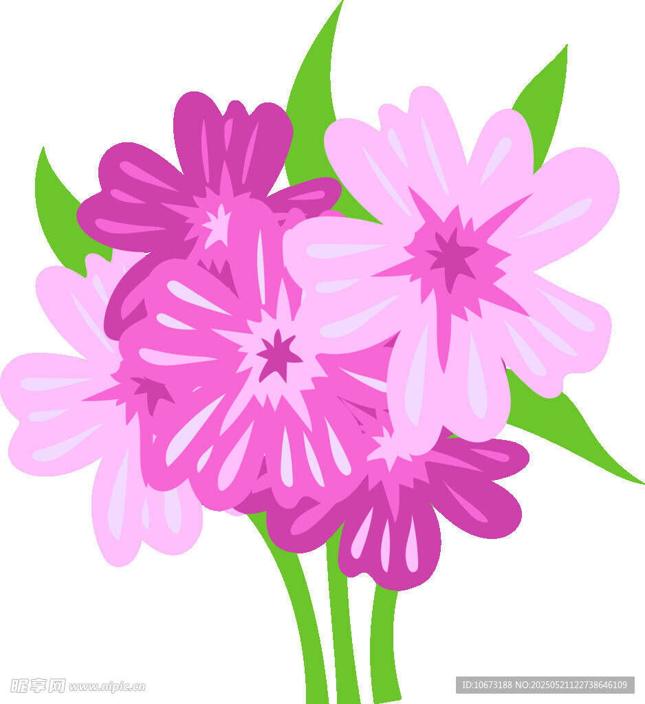粉色花卉插画