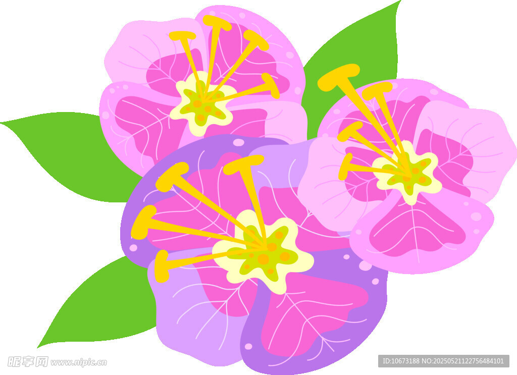 三朵粉紫色花朵插画