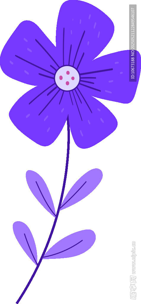 紫色小花插画