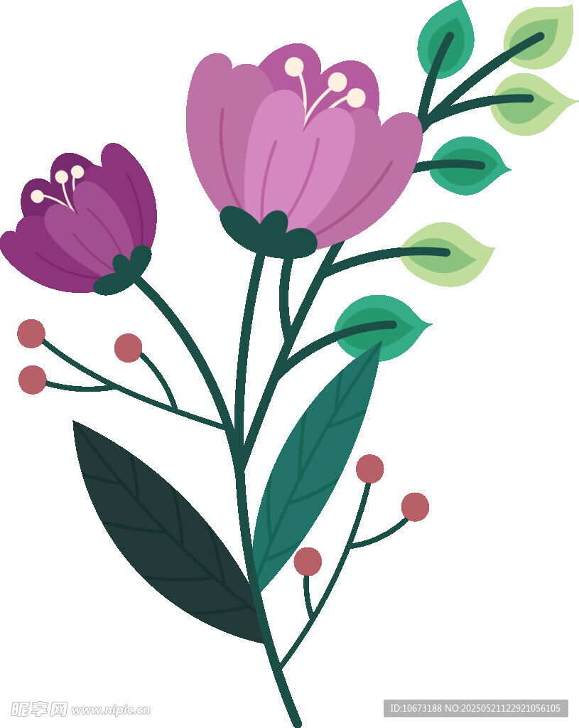 紫色花卉插画