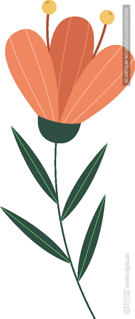 橙色花朵插画