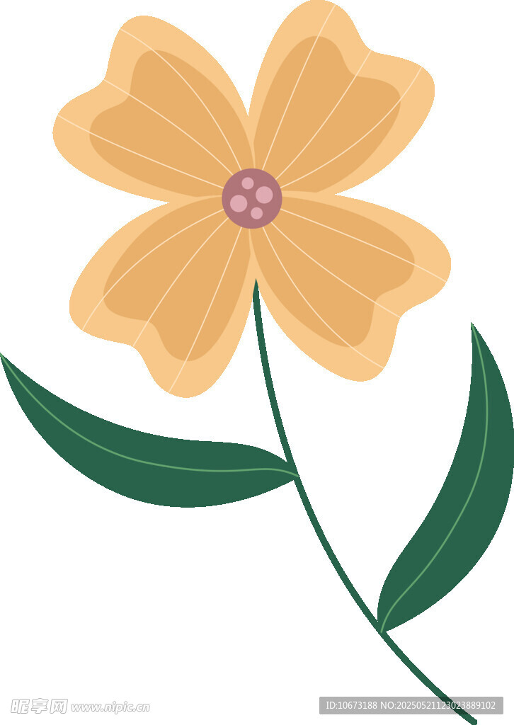 黄色花朵插画