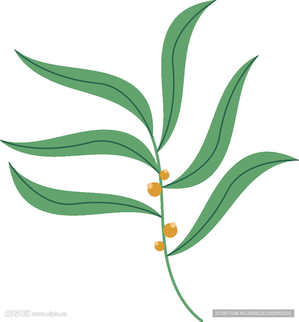 绿叶橙果植物插画